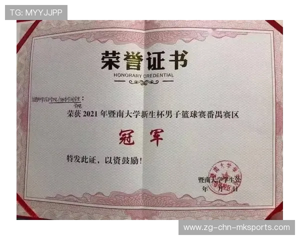 2026年篮球联赛青训营志愿者管理系统新增荣誉证书电子查询功能，篮球运动员证书查询